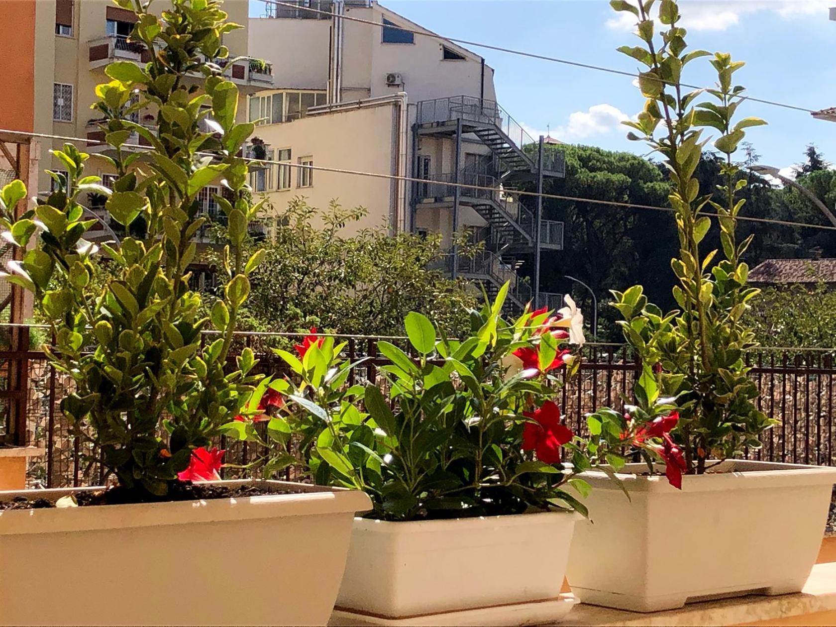 Wonderful Little Gem With A Large Private Terrace! Apartment